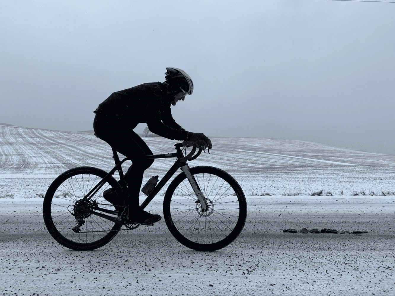 Winter 2022 News!